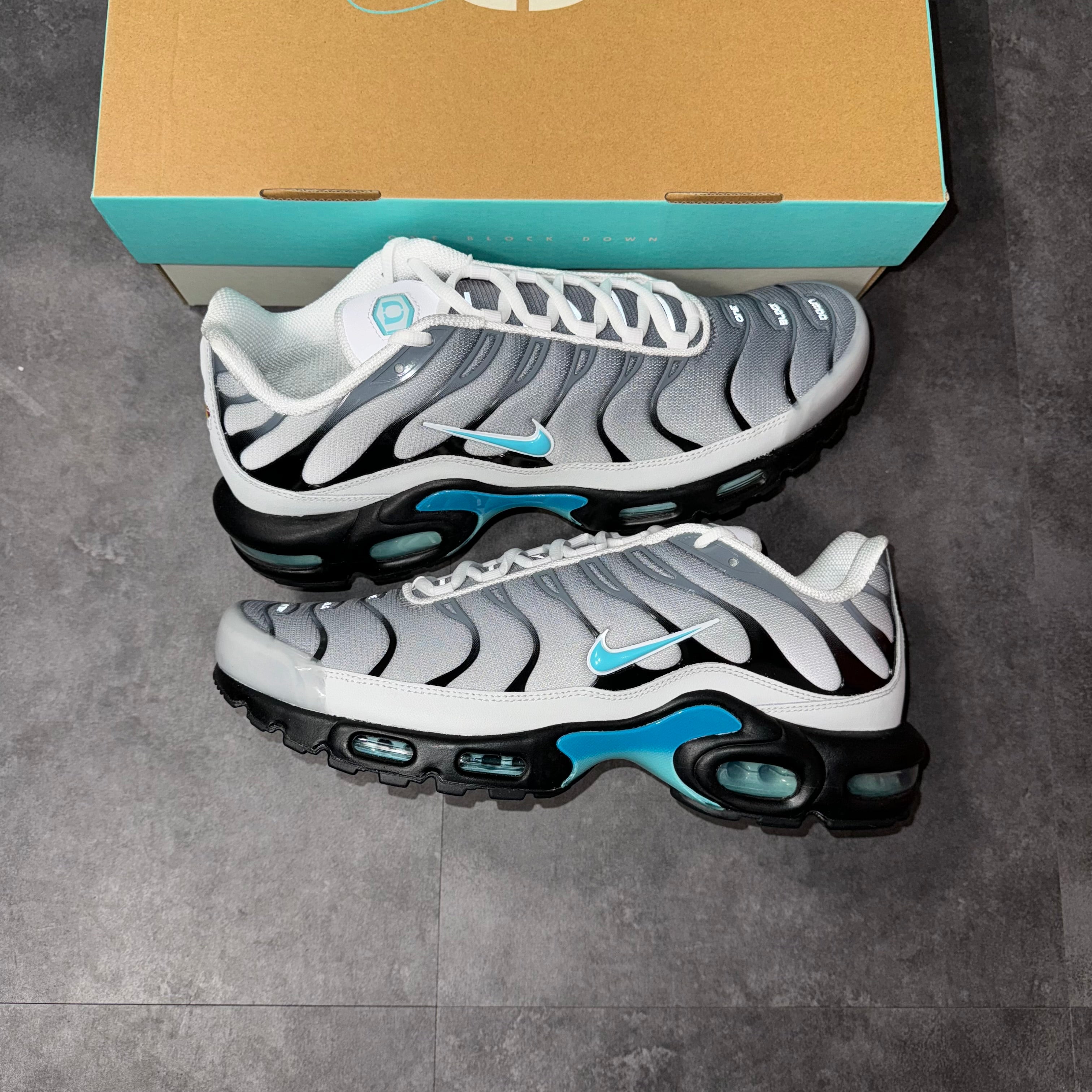 Nike Air max Plus TN One Block Down